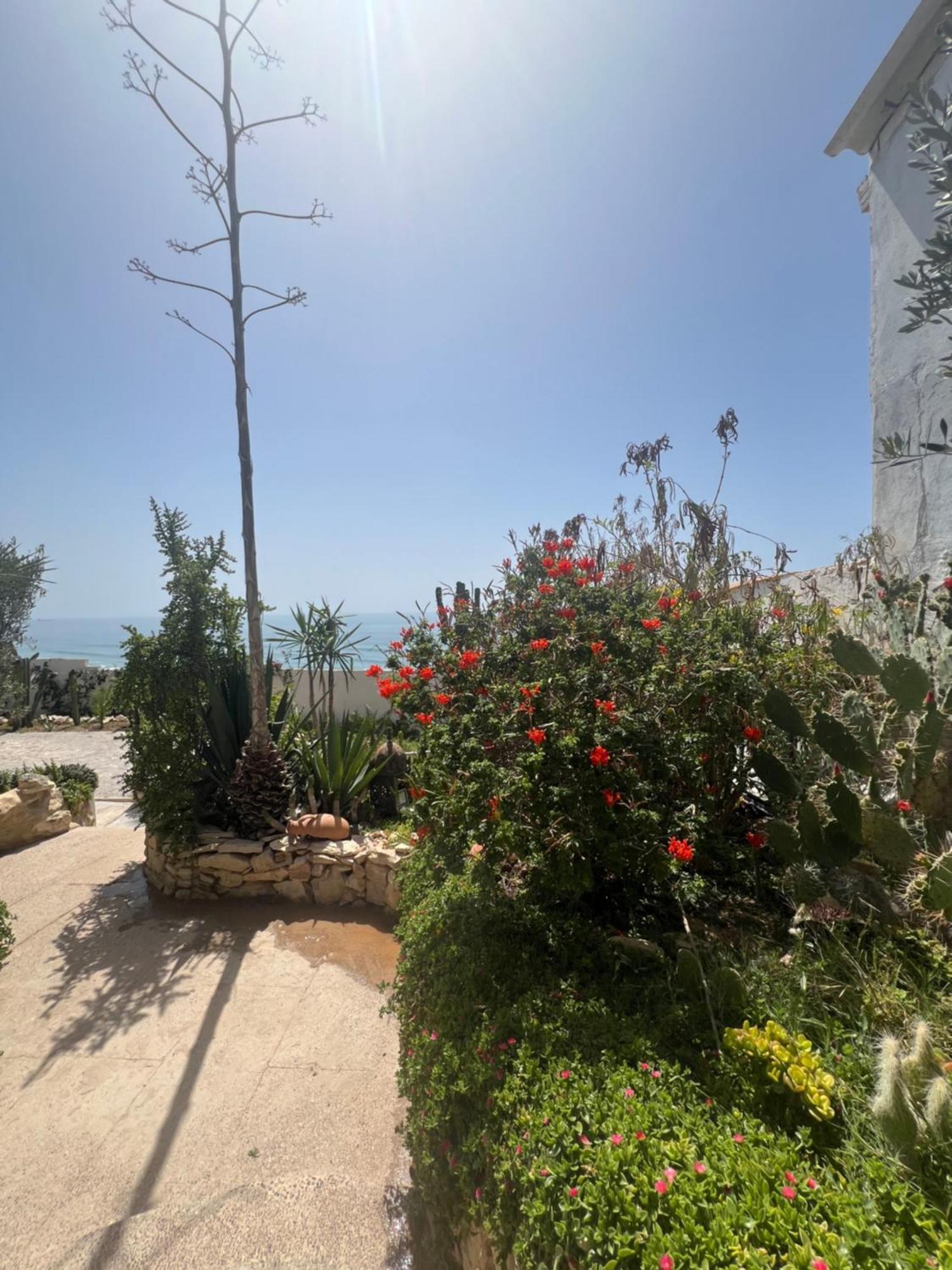 Villa Jardin De L'Ocean Aourir Exterior photo