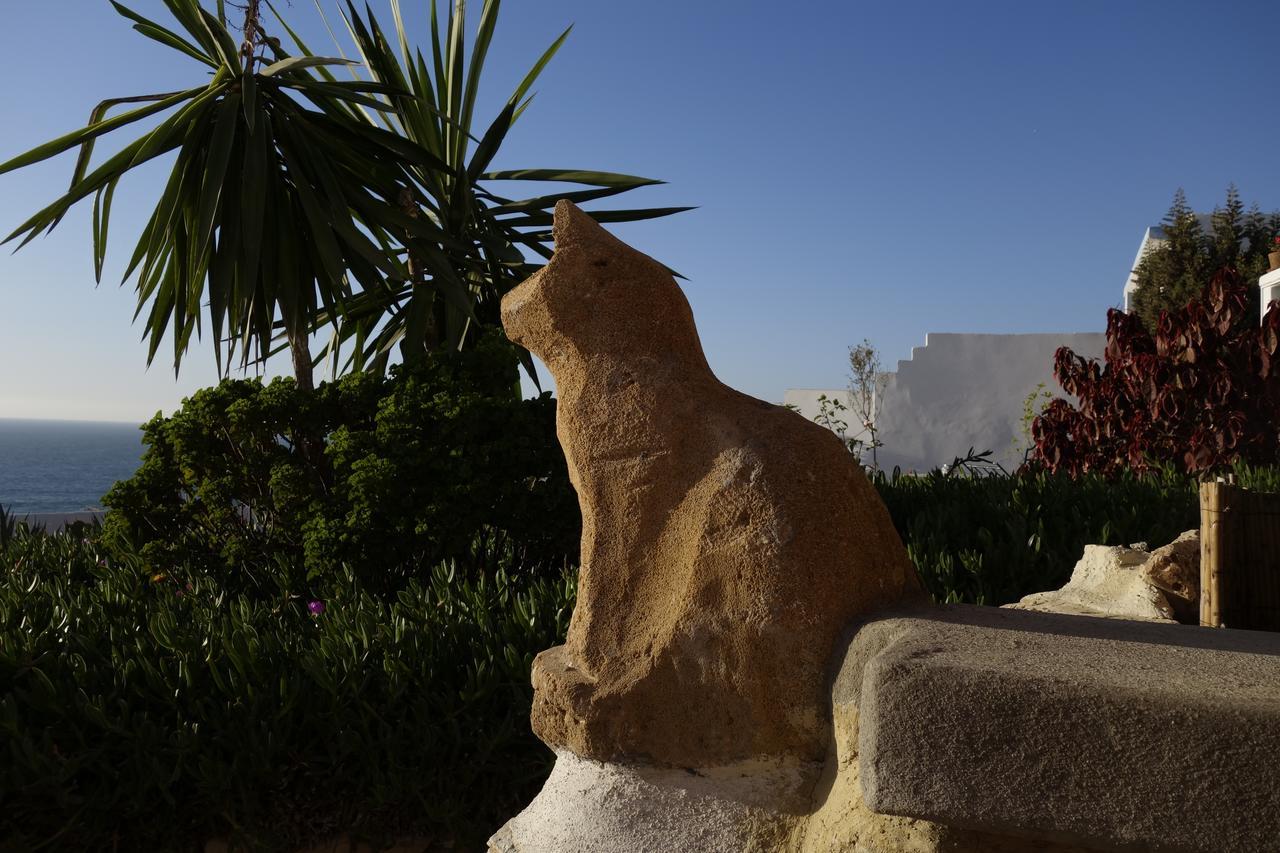Villa Jardin De L'Ocean Aourir Exterior photo